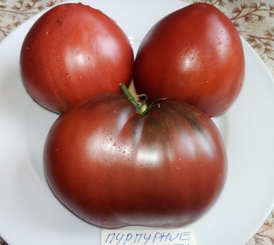 Гном Пурпурное сердце